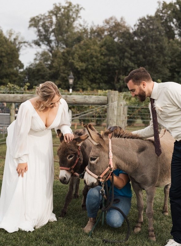Bride and Groom With Donkey Guest Experience Interactive guest experience with donkey at Central PA wedding venue