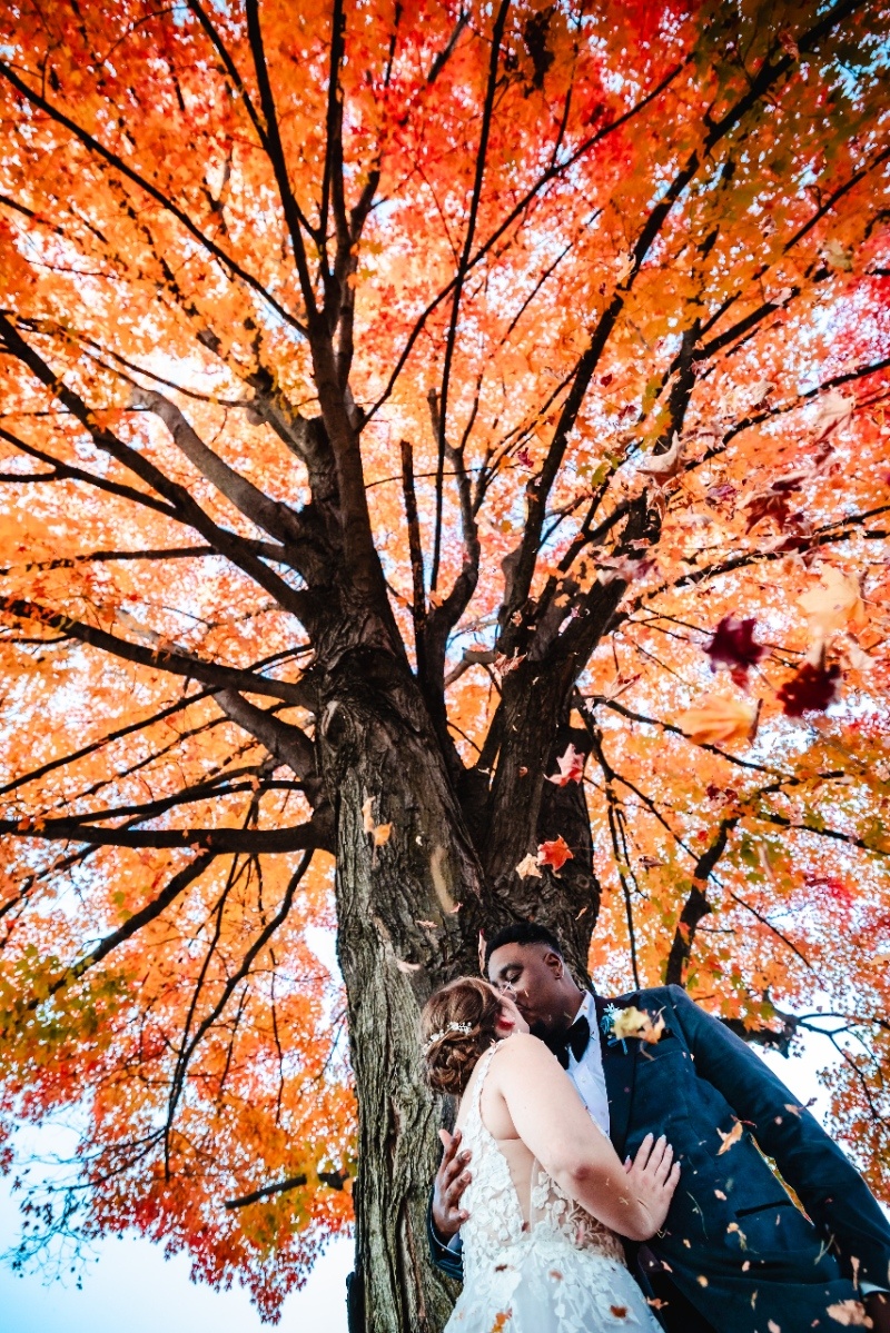 Romantic Fall Wedding Portrait Under Autumn Tree Bride and groom share a kiss beneath a vibrant orange autumn tree with falling leaves during their Pennsylvania wedding portraits.